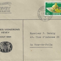 FETE DES VIGNERONS